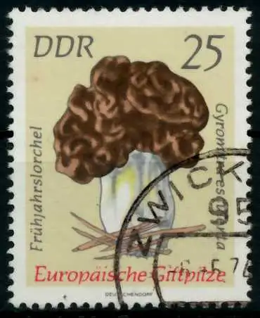 DDR 1974 Nr 1937 gestempelt 6948F2