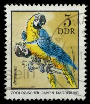 DDR 1975 Nr 2030 gestempelt 699672