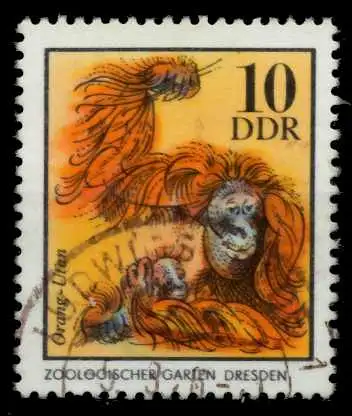 DDR 1975 Nr 2031 gestempelt 6996B2