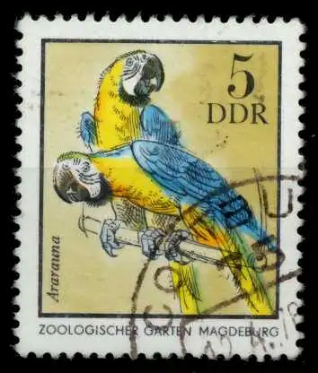 DDR 1975 Nr 2030 gestempelt 6996D2