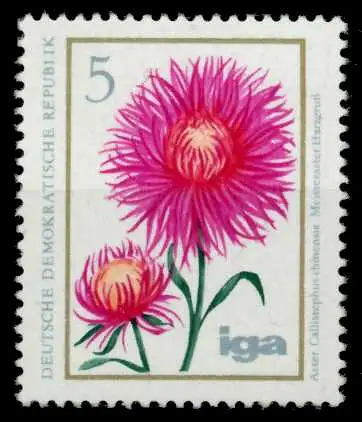 DDR 1975 Nr 2070 postfrisch S0AA61A