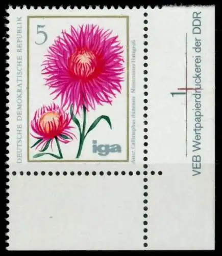 DDR 1975 Nr 2070 postfrisch ECKE-ULI 69994E