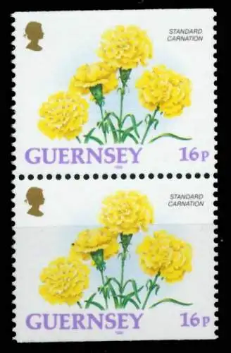 GUERNSEY Nr 561IIDo+Du postfrisch SENKR PAAR S0138A2