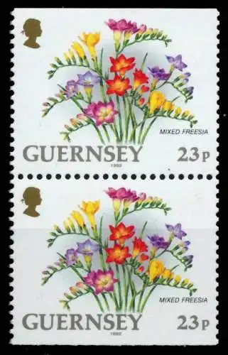 GUERNSEY Nr 563Do+Du postfrisch SENKR PAAR S01389A