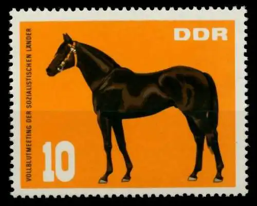 DDR 1967 Nr 1303 postfrisch SFE738E