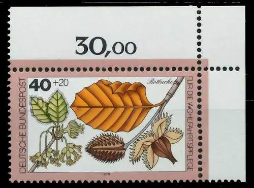 BRD 1979 Nr 1024 postfrisch ECKE-ORE 8079CE