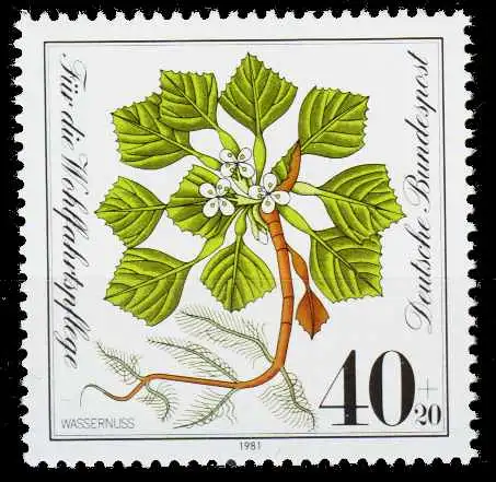 BRD 1981 Nr 1108 postfrisch S628D92