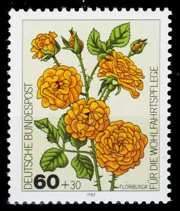 BRD 1982 Nr 1151 postfrisch S62D932