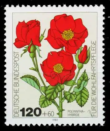 BRD 1982 Nr 1153 postfrisch S62D992