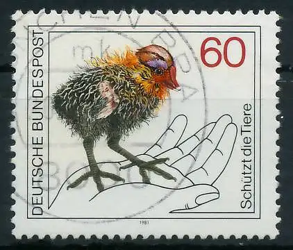 BRD 1981 Nr 1102 gestempelt 823FA6
