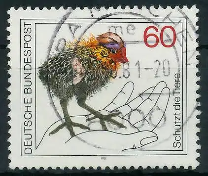 BRD 1981 Nr 1102 gestempelt 823FB6