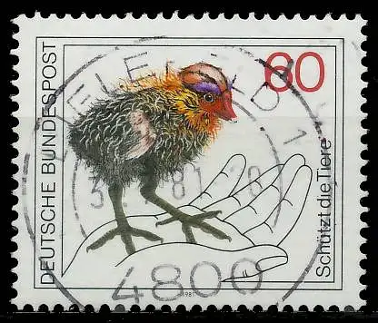 BRD 1981 Nr 1102 zentrisch gestempelt 823FD6