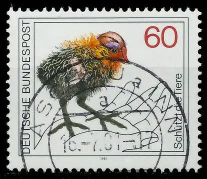 BRD 1981 Nr 1102 zentrisch gestempelt 82402A