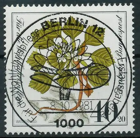 BRD 1981 Nr 1108 ESST zentrisch gestempelt 824256