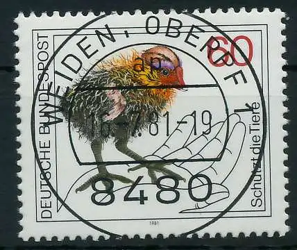 BRD 1981 Nr 1102 zentrisch gestempelt 831B22