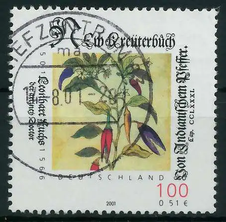 BRD 2001 Nr 2161 gestempelt 84AD42