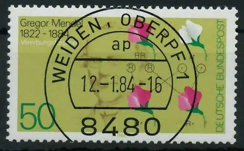 BRD 1984 Nr 1199 zentrisch gestempelt 8549E6