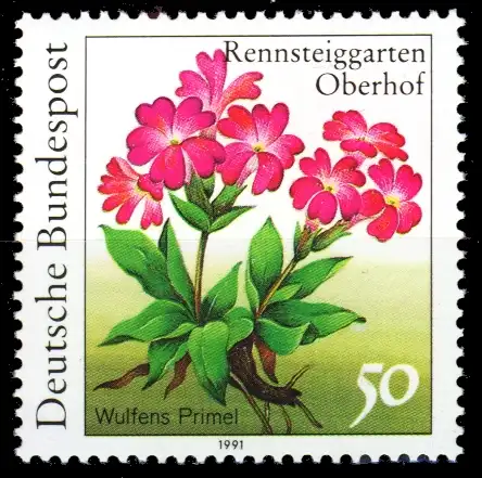 BRD 1991 Nr 1506 postfrisch S76334A