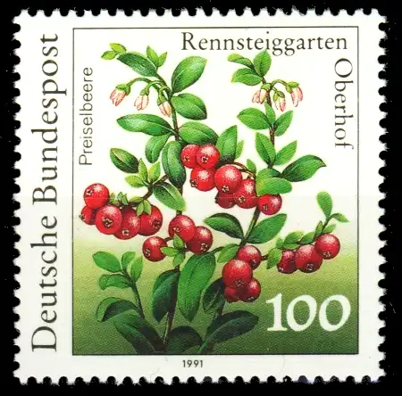 BRD 1991 Nr 1508 postfrisch S763382