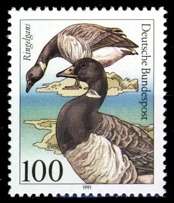 BRD 1991 Nr 1541 postfrisch S765F0A