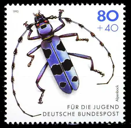 BRD 1993 Nr 1666 postfrisch S774ABE