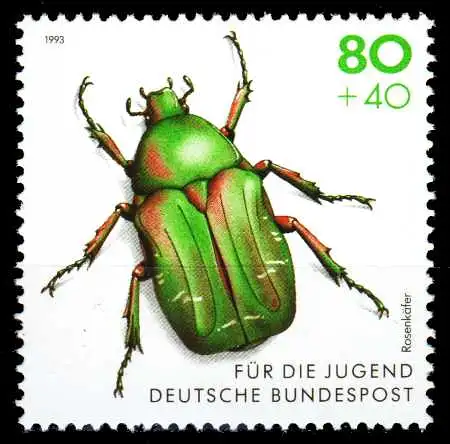 BRD 1993 Nr 1667 postfrisch S774AD2