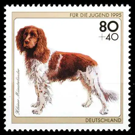 BRD 1995 Nr 1797 postfrisch S7875BA