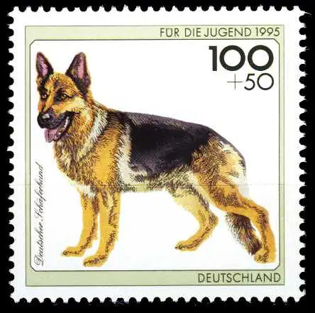 BRD 1995 Nr 1799 postfrisch S7875F2