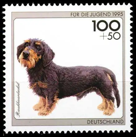 BRD 1995 Nr 1800 postfrisch S787602