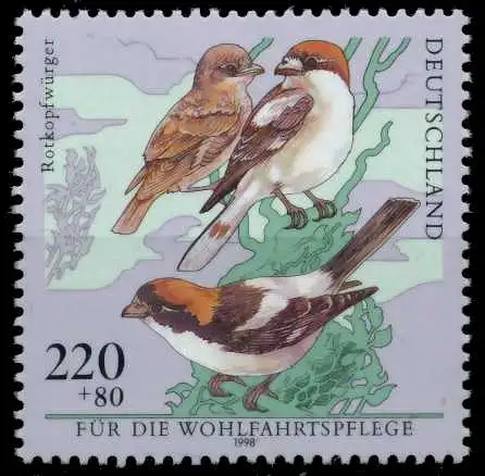 BRD 1998 Nr 2019 postfrisch S7AC3F6
