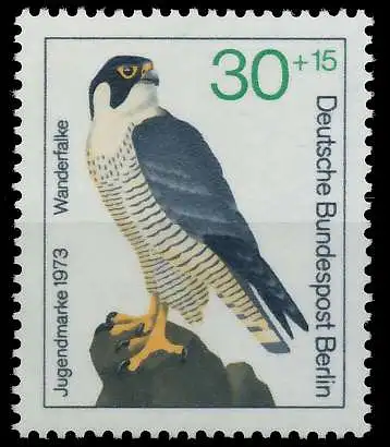 BERLIN 1973 Nr 443 postfrisch S801376