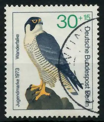 BERLIN 1973 Nr 443 gestempelt 91D876