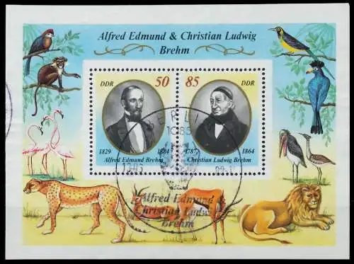 DDR BLOCK KLEINBOGEN Block 98 0B4B8A