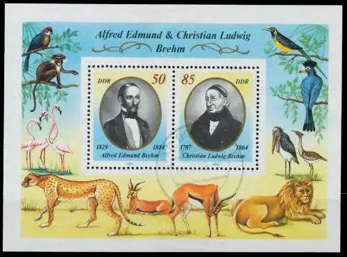 DDR BLOCK KLEINBOGEN Block 98 zentrisch gestempelt 0B4B8E