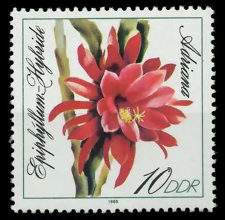 DDR 1989 Nr 3276 postfrisch SB7B706