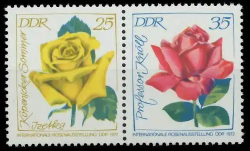 DDR ZUSAMMENDRUCK Nr W12 postfrisch WAAGR PAAR S823032