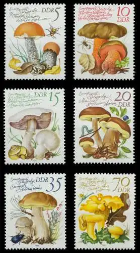 DDR 1980 Nr 2551-2556 postfrisch 1964FA