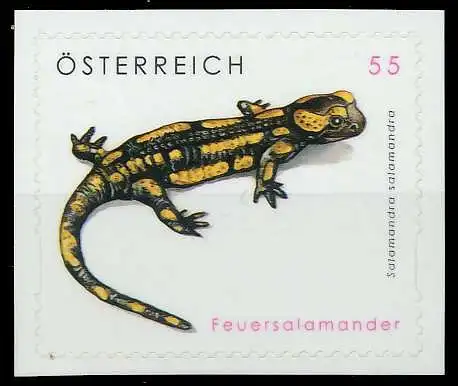 ÖSTERREICH 2007 Nr 2648 postfrisch SCF69E6