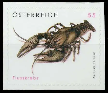 ÖSTERREICH 2007 Nr 2649 postfrisch SCF69F2