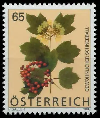 ÖSTERREICH 2007 Nr 2680 postfrisch SD0C6C2