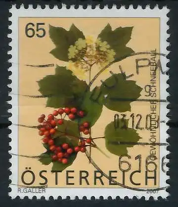 ÖSTERREICH 2007 Nr 2680 gestempelt 22F1DA