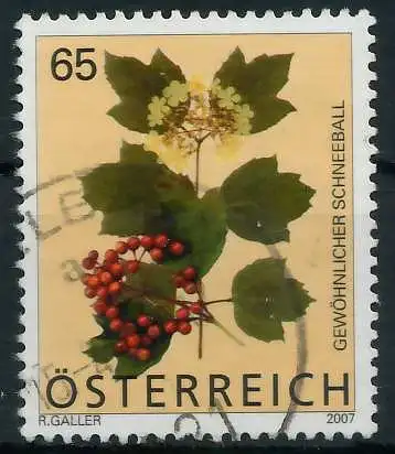 ÖSTERREICH 2007 Nr 2680 gestempelt 2EA726