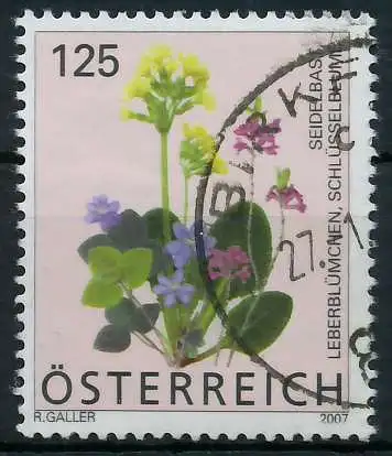 ÖSTERREICH 2007 Nr 2633 gestempelt 2EA73E