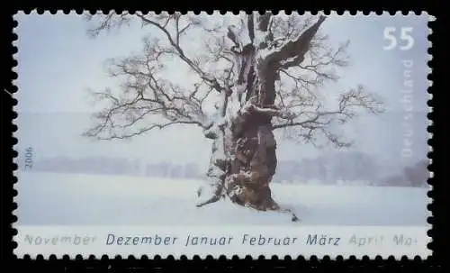 BRD BUND 2006 Nr 2509 postfrisch SE1655E