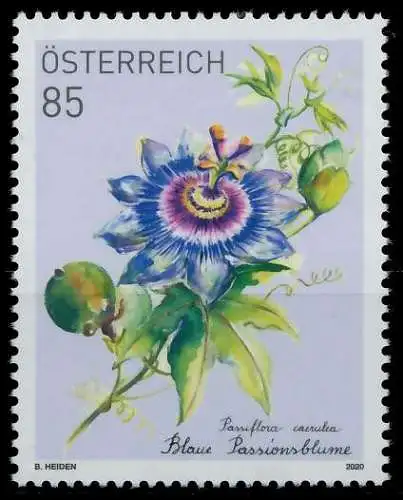 ÖSTERREICH 2020 Nr 3510 postfrisch SCB95B2