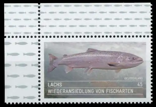 BRD BUND 2014 Nr 3051 postfrisch ECKE-OLI 4D6776