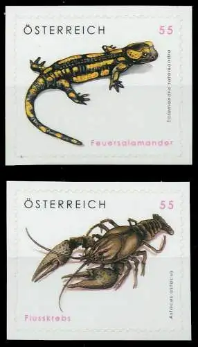 ÖSTERREICH 2007 Nr 2648-2649 postfrisch S272F2A