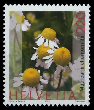 SCHWEIZ 2003 Nr 1826 postfrisch 64BFD2