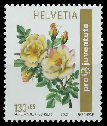 SCHWEIZ PRO JUVENTUTE Nr 1814 postfrisch S2A5BFA