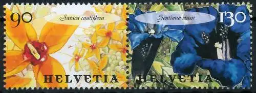 SCHWEIZ ZUSAMMENDRUCK Nr B31Zd2 postfrisch WAAGR PAAR 683E16